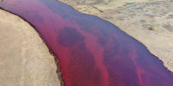 Из-за разлива топлива в Норильске объявлена ЧС федерального уровня