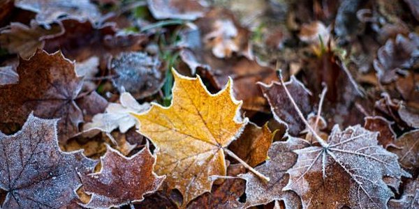 В Приморье днём станет теплее, а ночью обещают заморозки до −10 °C