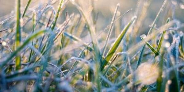 В ближайшие дни местами в Приморье будут ночные заморозки