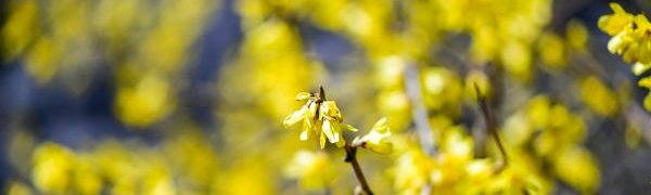 Сегодня в Приморье до +21 °С