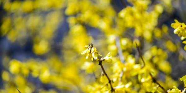 Сегодня в Приморье до +21 °С