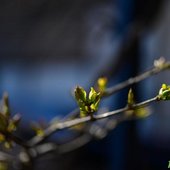 Переменчивая весна: какая погода ждёт жителей Приморья на выходных