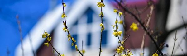 Переменчивая весна: какая погода ждёт жителей Приморья на выходных