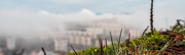 В начале недели во Владивостоке сохранится неустойчивая погода