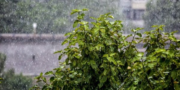 Cильными ливнями прольется на Владивосток тайфун «Матмо»