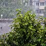 Cильными ливнями прольется на Владивосток тайфун «Матмо»