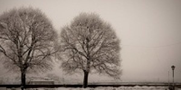 Жизни 15 человек унес снежный циклон в США