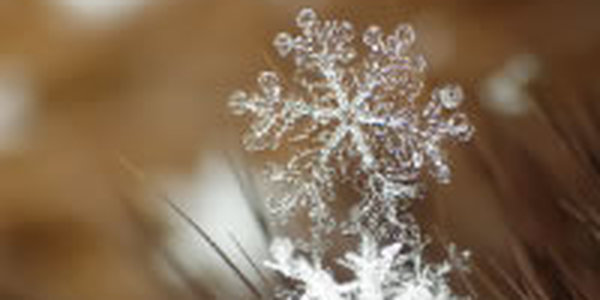 Зима испытывает приморцев на прочность