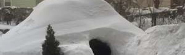Житель Нью-Йорка предложил туристам переночевать в сугробе за 200 долларов