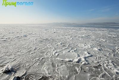 Площадь льда в Амурском и Уссурийском заливах значительно увеличилась