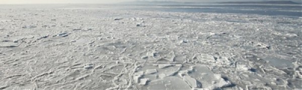 Площадь льда в Амурском и Уссурийском заливах значительно увеличилась