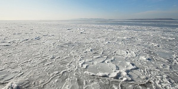 Площадь льда в Амурском и Уссурийском заливах значительно увеличилась
