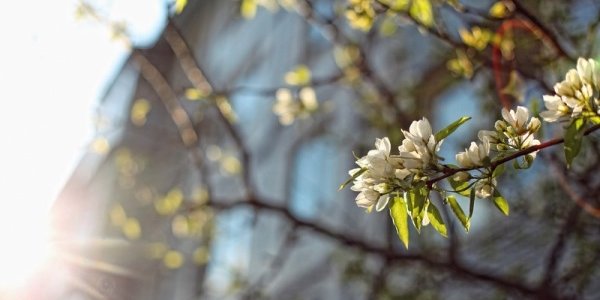В воскресенье погода в Приморье начнёт портиться