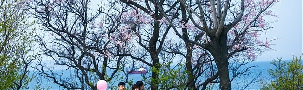 Чем дышал Владивосток с 11 по 19 мая?