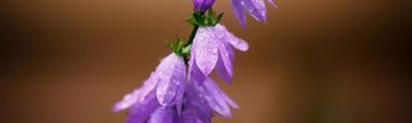 Ухудшение погоды ожидается в Приморье в пятницу