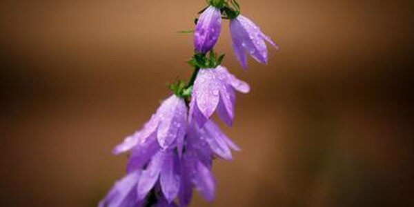 Ухудшение погоды ожидается в Приморье в пятницу