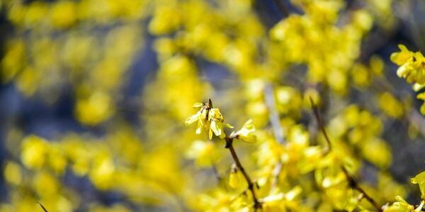 От +11°С до +31°С: разброс температур в Приморье составляет 20 градусов 