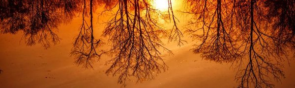 Реки южных районов Приморья вскрылись ото льда