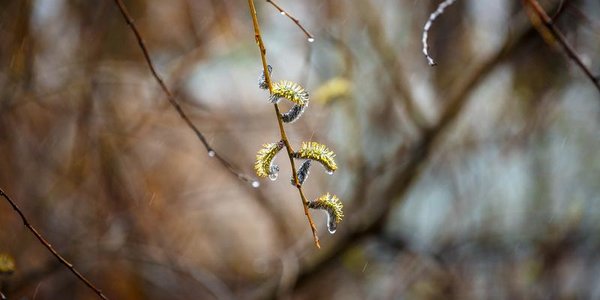 Ухудшение погоды в Приморье ожидается уже в ночь на четверг