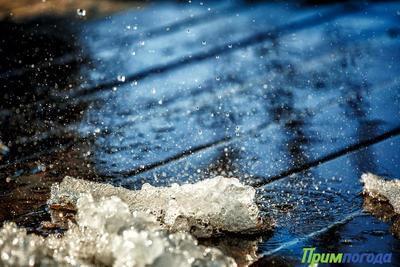 Снег, дождь, сильный ветер, гололедные явления: циклон принесет в Приморье непогоду в пятницу