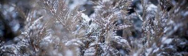 Холодные снежные выходные ожидают жителей Приморья