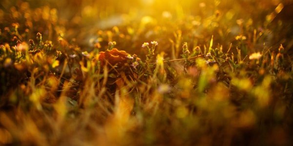 Июнь 2014 стал самым жарким в истории