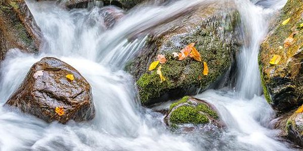 Водность рек Приморья превышает средние значения в 3–5 раз