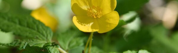 В субботу в Приморье будет жарко