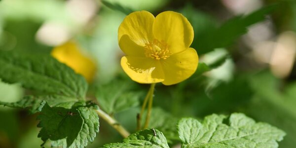 В субботу в Приморье будет жарко