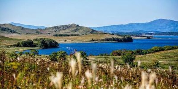 Синоптики рассказали о погоде в Приморье и Владивостоке на выходных