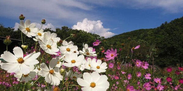 Октябрь в Приморье начинается с хорошей погоды