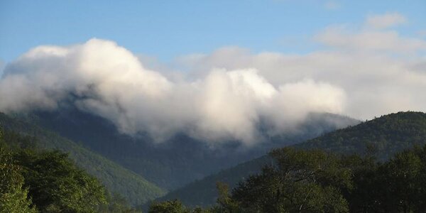 До +26°C прогревается воздух в Приморье