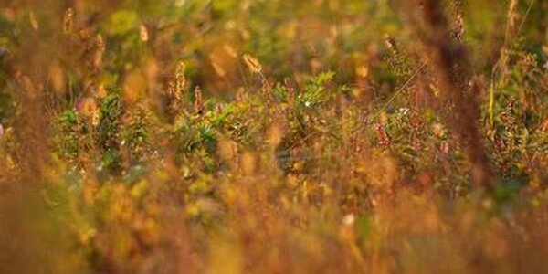Опубликован прогноз погоды в Приморье и Владивостоке на начало октября
