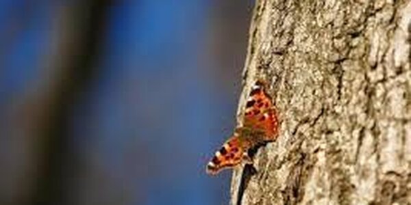 Синоптики рассказали о погоде в Приморье на последней неделе сентября 