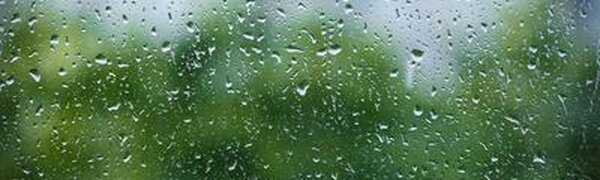 Небольшой дождь ожидается в Приморье в среду