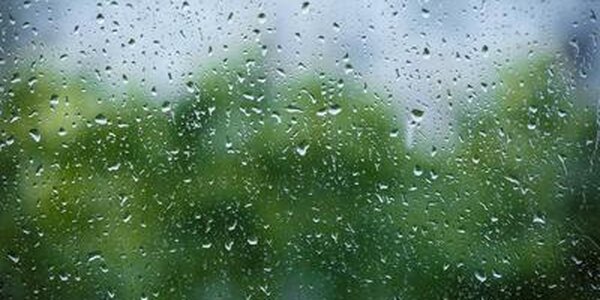 Небольшой дождь ожидается в Приморье в среду