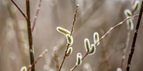 В четверг погода в Приморье сохранится без изменений