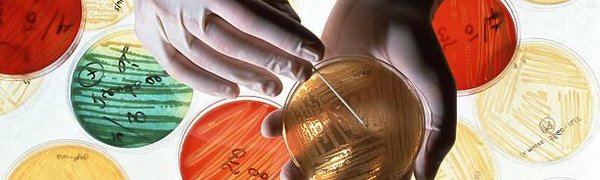 ВОЗ назвала 12 самых опасных для человека супербактерий