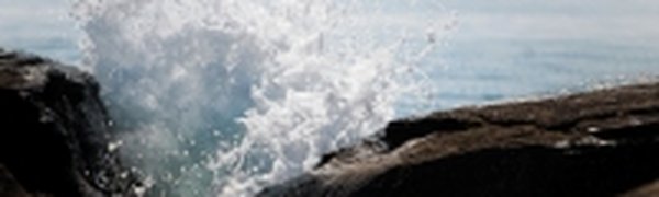 Аварийный сброс воды на японской АЭС не угрожает здоровью жителей Приморья