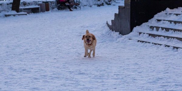 Синоптики озвучили прогноз погоды на предпоследние выходные января в Приморье