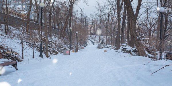Cнег, мокрый снег, дождь: погода удивит жителей Приморья 26 – 27 января