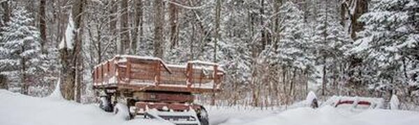 Стало известно, в каких районах Приморья больше всего снега