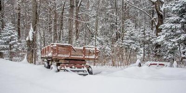 Стало известно, в каких районах Приморья больше всего снега