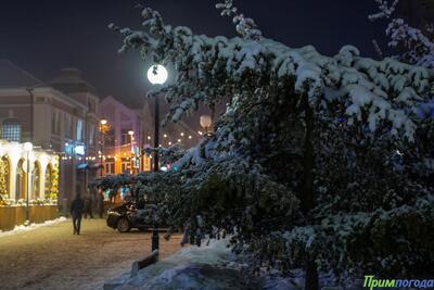 На выходных температурный фон в Приморье вернется в климатические рамки