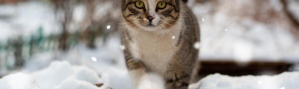 Погода в начале последней недели января в Приморье будет неустойчивой