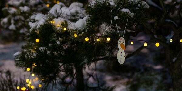 На выходных погоду в Приморье определял гребень антициклона