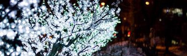 Ночь на Крещение стала одной из самых холодных с начала зимы