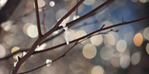 В Приморье установилась морозная погода