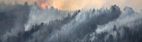 В Иркутской области из‑за лесных пожаров закрыли два аэропорта