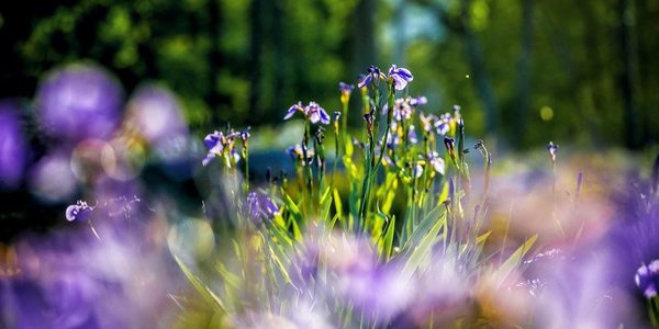 В выходные дни Владивосток ждёт хорошая погода